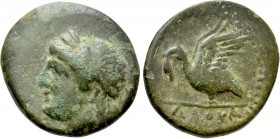 IONIA. Leukai. Ae (Circa 350-300 BC). 

Obv: Laureate head of Apollo left.
Rev: ΛEOKA. 
Swan with open wings left, head towards ground.

SNG von...