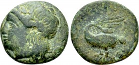 IONIA. Leukai. Ae (Circa 350-300 BC). Herakleides, magistrate. 

Obv: Laureate head of Apollo left.
Rev: [...] ΛEY. 
Swan with open wings left, he...