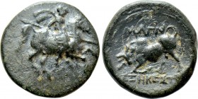 IONIA. Magnesia ad Maeandrum. Ae (Circa 350-200 BC). Exekestes, magistrate. 

Obv: Galloping warrior on horseback right, attacking with spear.
Rev:...