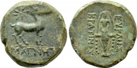 IONIA. Magnesia ad Maeandrum. Ae (2nd-1st centuries BC). Eukles, son of Kratinos, magistrate. 

Obv: ΜΑΓΝHT. 
Stag standing right; star above.
Rev...