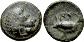 IONIA. Miletos (Circa 5th-4th century)? Ae. 

Obv: Head of lion right.
Rev: MI (retrograde). 
Bird (quail ?) to right .

BMC -; SNG von Aulock -...