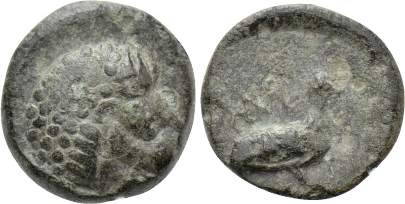 IONIA. Miletos (Circa 5th-4th century)? Ae. 

Obv: Head of lion right.
Rev: M...