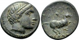 IONIA. Miletos. Ae (Circa 323-319 BC). In the Name of Alexander III of Macedon. 

Obv: Diademed head (Apollo?) right.
Rev: BAΣIΛEΩΣ AΛEΞANΔPOY. 
H...