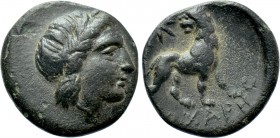 IONIA. Miletos. Ae (Circa 313/12-290 BC). [...]ochares, magistrate. 

Obv: Laureate head of Apollo right.
Rev: [...]OXAPHΣ. 
Lion standing right, ...