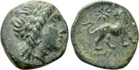IONIA. Miletos. Ae (Circa 313/12-290 BC). Antiandros, magistrate. 

Obv: Laureate head of Apollo right.
Rev: ANTIANΔPOΣ. 
Lion standing right, hea...