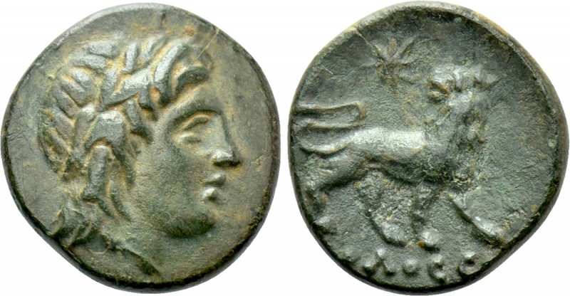 IONIA. Miletos. Ae (Circa 313/12-290 BC). Molossos, magistrate. 

Obv: Laureat...