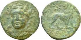 IONIA. Miletos. Ae (Circa 259-246 BC). Zopyr[...], magistrate. 

Obv: Laureate head of Apollo facing slightly left.
Rev: ZΩΠYP[...]. 
Lion standin...