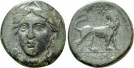 IONIA. Miletos. Ae (Circa 259-246 BC). Avandrides, magistrate. 

Obv: Laureate head of Apollo facing slightly left.
Rev: EVANΔPIΔHΣ. 
Lion standin...