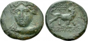 IONIA. Miletos. Ae (Circa 259-246 BC). Nikeratos, magistrate. 

Obv: Laureate head of Apollo facing slightly left.
Rev: NIKHPATOΣ. 
Lion standing ...