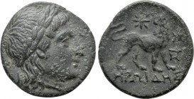 IONIA. Miletos. Ae (Circa 225-190 BC). Heroides, magistrate. 

Obv: Laureate head of Apollo right.
Rev: HPΩIΔHΣ. 
Lion standing right, head left; ...