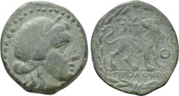 IONIA. Miletos. Ae (2nd century BC). Hippoloxos, magistrate. 

Obv: Laureate head of Apollo right.
Rev: IΠΠOΛOXOΣ. 
Lion standing right, head left...