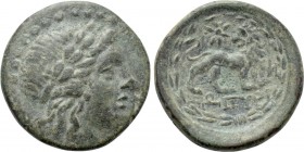IONIA. Miletos. Ae (2nd century BC). Zopyri[...], magistrate. 

Obv: Laureate head of Apollo right.
Rev: ZΩΠYPI. 
Lion standing right, head left; ...