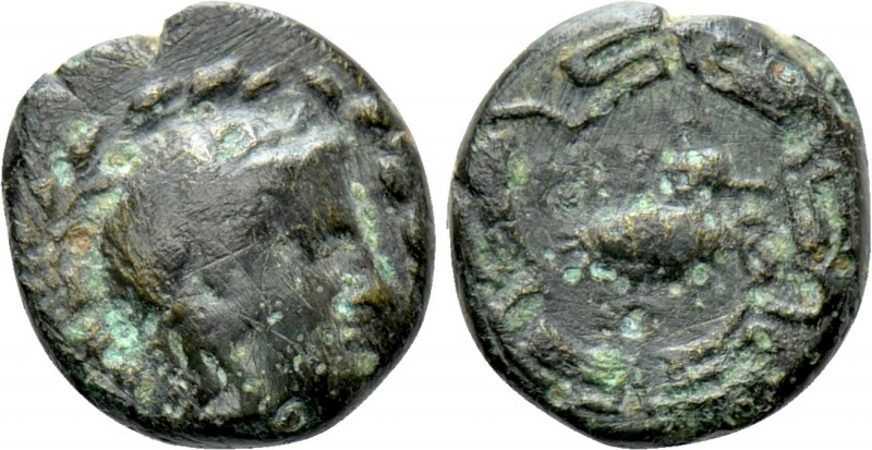 IONIA. Myous. Ae (Circa 400-380 BC). 

Obv: Laureate head of Apollo right with...