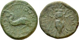 IONIA. Smyrna. Pseudo-autonomous. Time of Domitian (81-96). Ae. Myrton, stephanophoros and daughter of the people and Reginus, strategos. 

Obv: ZΜΥ...