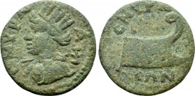 IONIA. Smyrna. Pseudo-autonomous. Time of Gordian III (238-244). Ae. 

Obv: СΜVΡΝΑ. 
Turreted and draped bust of the Amazon Smyrna left, holding bi...