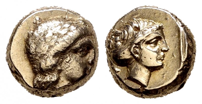Lesbos. Mytilene. EL Hekte. 375-325 BC. (Bodenstedt-100A). Anv.: Apollo's head t...