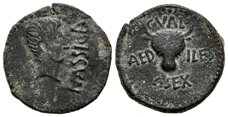 Calagurris. Augustus period. Half unit. 27 a.C.-14 d.C. Calahorra (La Rioja). (A...