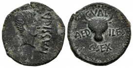 Calagurris. Augustus period. Half unit. 27 a.C.-14 d.C. Calahorra (La Rioja). (Abh-425). (Acip-1794). Anv.: Naked head of Augustus, NASSICA. Rev.: Fac...