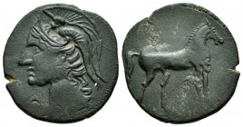 Carthage Nova. Calco. 220-215 a.C. Cartagena (Murcia). (Abh-529). (Acip-591). Anv.:  Head with Athena helmet on the left. Rev.: Horse standing on the ...