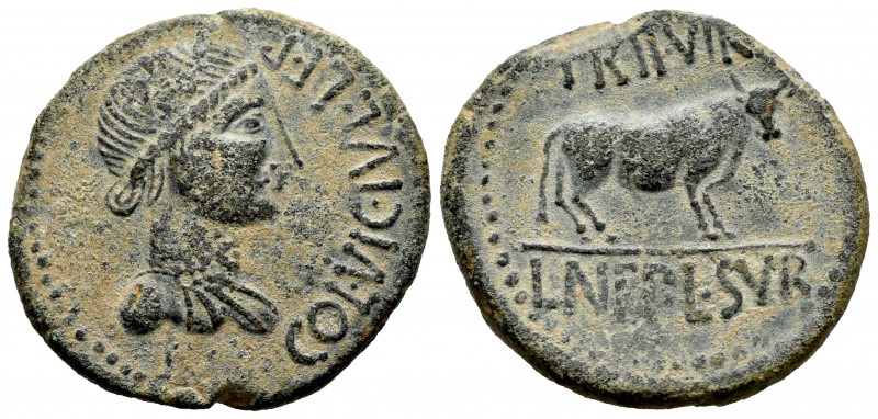 Kelse. Unit. 50-30 a.C. Velilla del Ebro (Zaragoza). (Abh-794). (Acip-1494). Anv...
