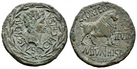 Kelse. Unit. 27 a.C.-14 d.C. Velilla del Ebro (Zaragoza). Times of Augustus. (Abh-806). (Acip-3161). Anv.: Laurea, inside head of Augustus on the righ...