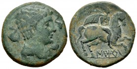 Iltirta. Unit. 220-200 a.C. Lleida (Cataluña). (Abh-1465). (Acip-1261). Anv.: Male head to right, flanked by three dolphins. Rev.: Horseman to the rig...