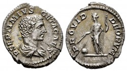Geta. Denarius. 203-208 d.C. Rome. (Ric-51). (Rsc-170). Rev.: PROVID - DEORVM, Providentia standing left, holding rod and sceptre; at feet, globe. Ag....