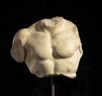 ROMAN MARBLE TORSO OF HERCULES
1st - 2nd century AD
height (bust) cm 14; total with stand cm 14; length max cm 15

Despite the small size of the t...