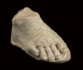 ROMAN MARBLE FOOT
1st century BC - 1st century AD
height cm 9; length cm 18

Set on a platform base, this right foot is naturalistically carved, a...