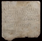 ROMAN MARBLE GRAVESTONE OF OFILLIA TYCHE
2nd - 3rd century AD
height cm 46 (cm 48,5 with Iron support); length cm 46,5; wide cm 2,5-6

Provided wi...