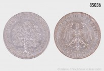 Weimarer Republik, 5 Reichsmark 1929 A, Eichbaum, 500er Silber. 25,00 g; 36 mm. AKS 25; Jaeger 331. Vorzüglich.
