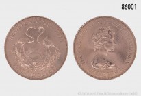 Bahamas, 50 Dollars 1973, 500er Gold. 15,77 g (7,88 g Feingold); 29 mm. Schön 29. Auflage 22.500 Exemplare. Stempelglanz.