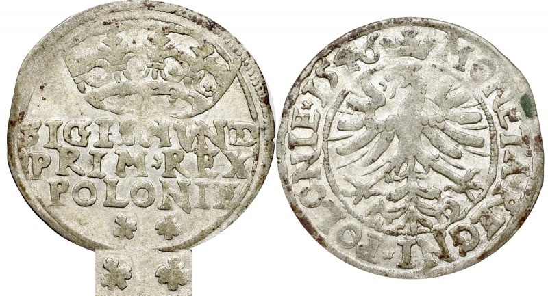 Sigismund I the Old, Groschen 1546, Cracow Ładny egzemplarz rzadkiej odmiany z p...