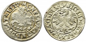Sigismund II Augustus, Halfgroat 1546, Vilnius - L/LITV