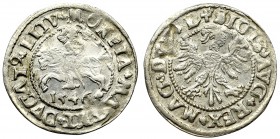 Sigismundus II Augustus, Halfgroat 1546, Vilnius - L/LITV