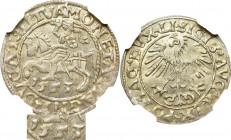 Sigismund II Augustus, Halfgroat 1553, Vilnius - LI/LITVA NGC MS66 MAX RR/R3