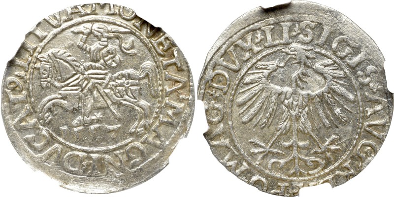 Sigismund II Augustus, Halfgroat 1557, Vilnius - LI/LITVA NGC MS66 Wyśmienity, m...