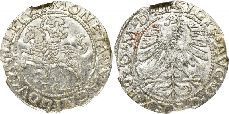 Sigismund II Augustus, Halfgroat 1564, Vilnius - LI/LITVA NGC MS65 Wyśmienity, m...