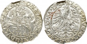 Sigismund II Augustus, Halfgroat 1564, Vilnius - LI/LITVA NGC MS65 MAX RR