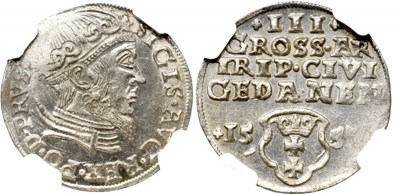Sigismund II Augustus, 3 Groschen 1557, Danzig - NGC MS64 Wyśmienity, menniczy e...