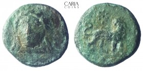 Ionia. Miletos. 260-220 BC. Bronze Æ . 11 mm 0.95 g. Very fine