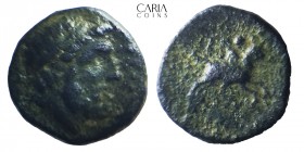 Kings of Macedon.Uncertain mint.Phillip II. 359-336 BC. Bronze AE. 16 mm 4.77 g. Very fine