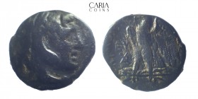 Kings of Egypt.Tyros. Ptolemaios II Philadelphos.281-246 BC. Bronze Æ. 20 mm 6.39 g. Very fine