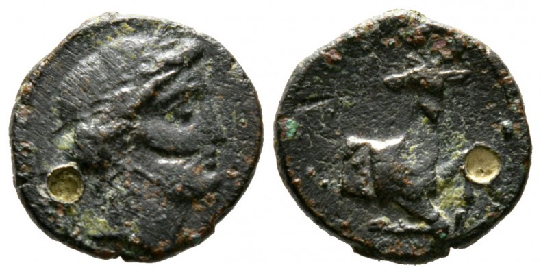 Cyprus, Curium, 4th century BC, Æ, 3.33g, 16mm. Head of Apollo right / Forepart ...