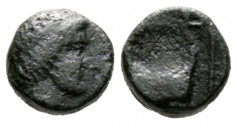 Cyprus, Curium, Uncertain King, c. 4th century BC, Æ, 1.65g, 8mm. Head of Apollo...