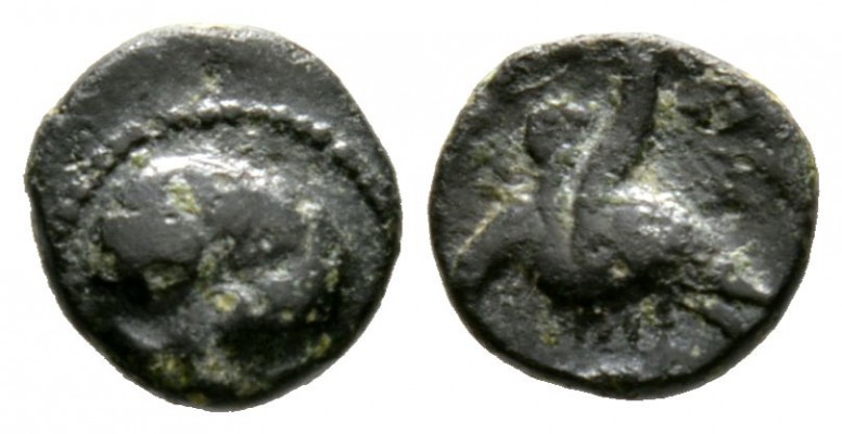 Cyprus, Kition or Salamis?, Uncertain King, c. 4th century BC, Æ, 0.85, 9mm. Lio...