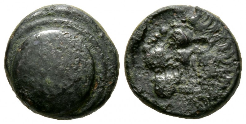 Cyprus, Marion, Stasioikos II (322-312 BC), Æ, 8.65g, 18mm. Shield with wreath /...