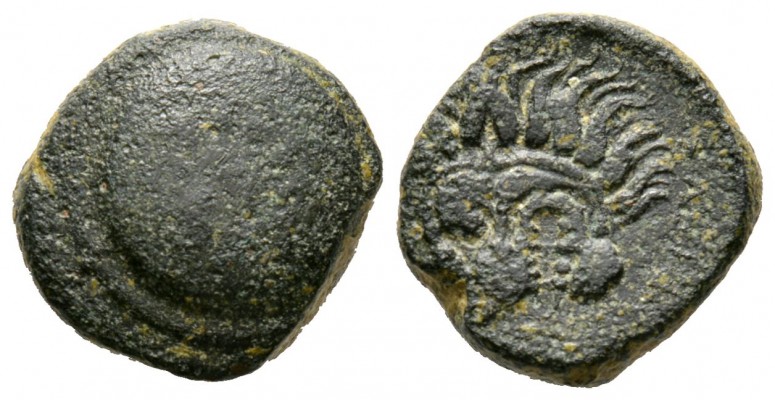Cyprus, Marion, Stasioikos II (322-312 BC), Æ, 9.00g, 17mm. Shield with wreath /...