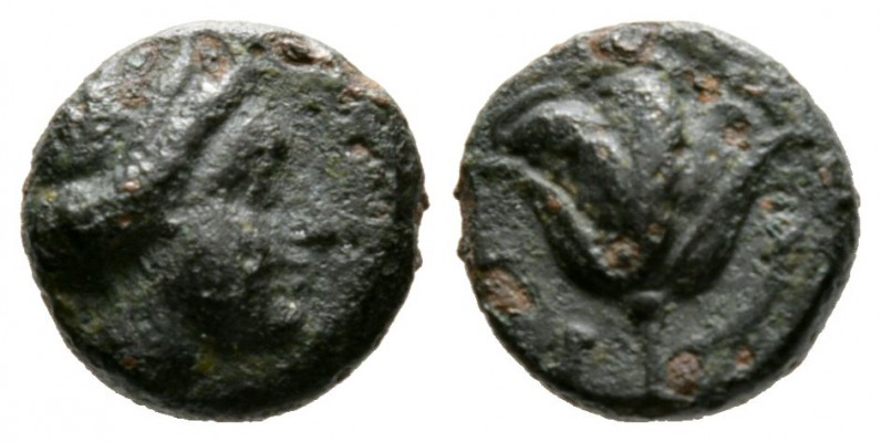 Cyprus, Paphos, Timocharis? (4th century BC), Æ, 1.53g, 9mm. Head of Aphrodite r...