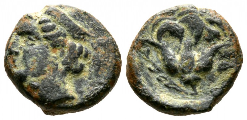 Cyprus, Paphos, Timocharis, c. 385 BC, Æ, 3.77g, 14mm. Head of Aphrodite left / ...